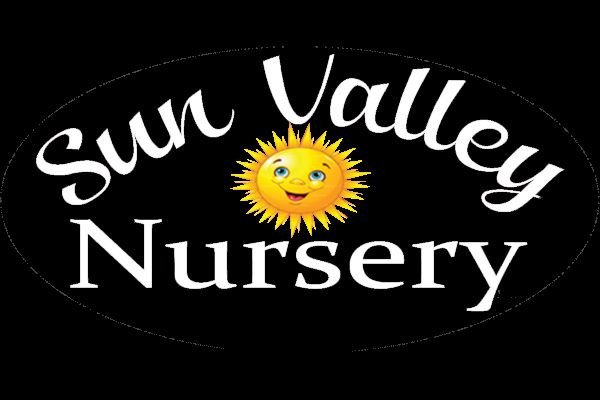 Sun Valley Nursery Profile Picture