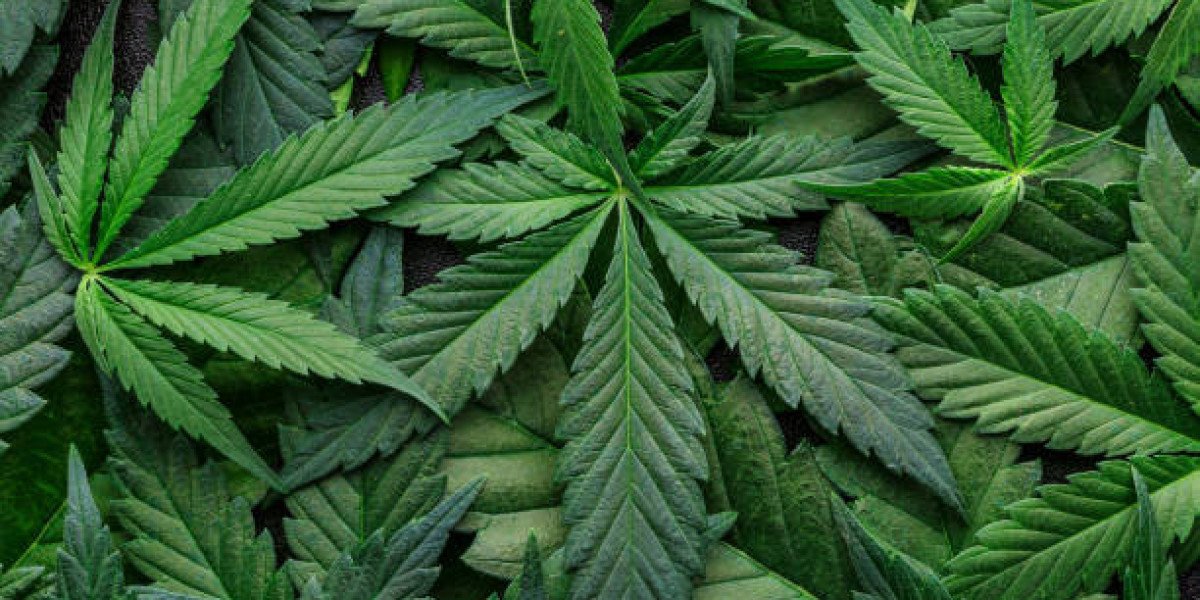 The Rise of the Global Cannabis Market: Key Drivers and Opportunities