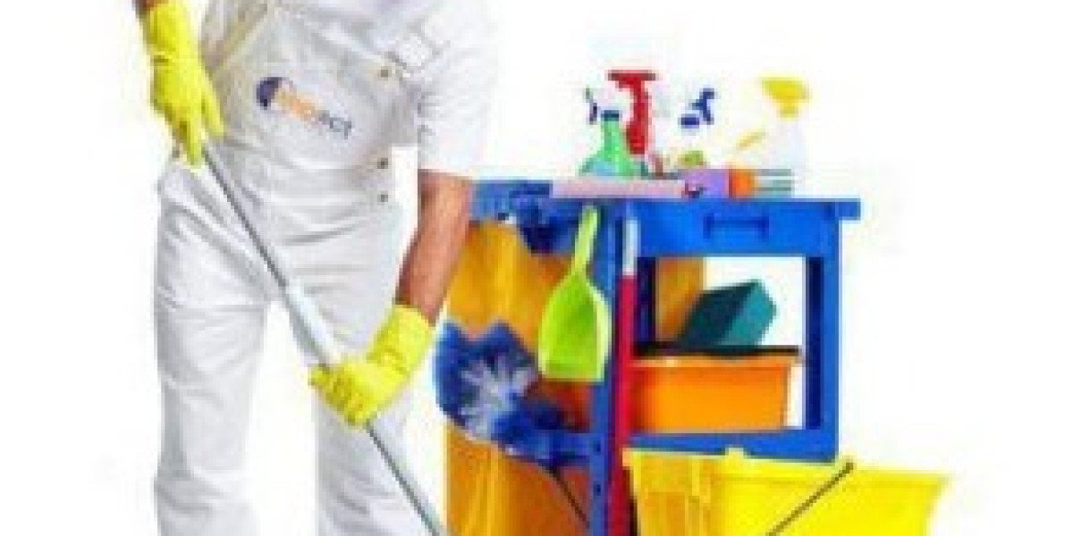 Professional Cleaning Solutions:
