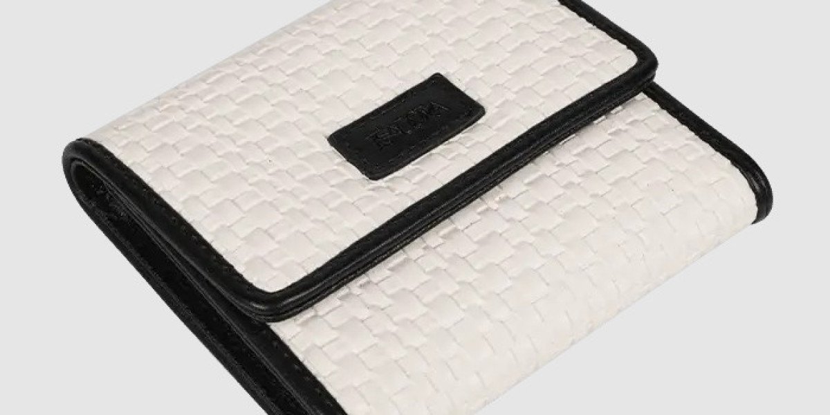 Travel Wallet in Daily Journeys