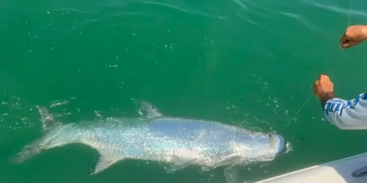 How Weather Fronts Change Everything About Coastal Fishing