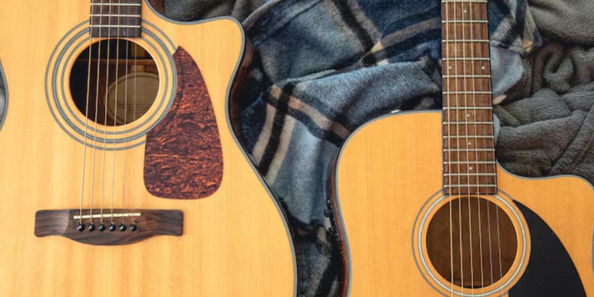Exploring the Depth and Versatility of 20 string Acoustic-Electric harp guitar and 6 String Acoustic Guitars