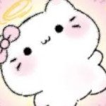 xinke xinke Profile Picture