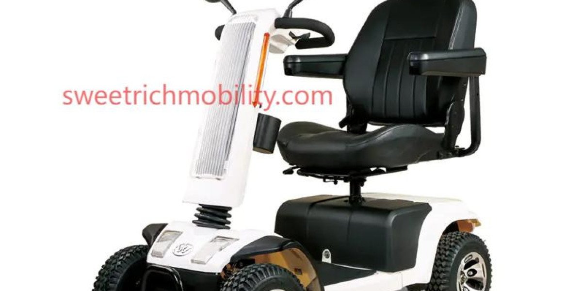 How Can a Travel Scooter Factory Encourage Business Development?