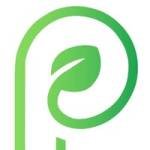 Parchment paper Profile Picture