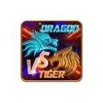 Dragon Tiger Profile Picture