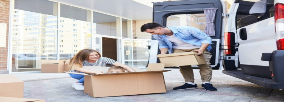 Removalist Auction Cover Image